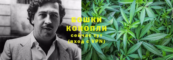 ешки Козельск
