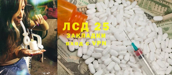 шишки Учалы