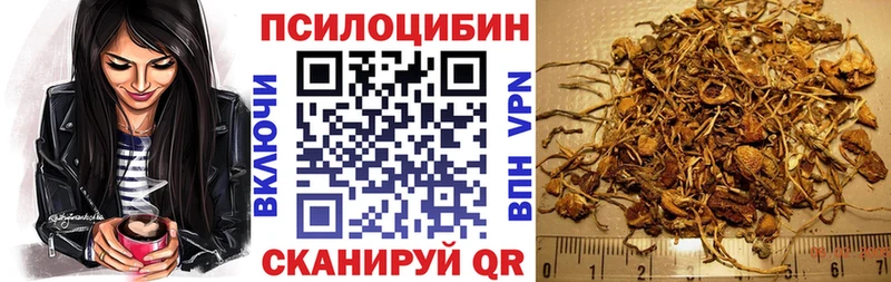 это Telegram  Берёзовка  Псилоцибиновые грибы MAGIC MUSHROOMS  где продают наркотики 